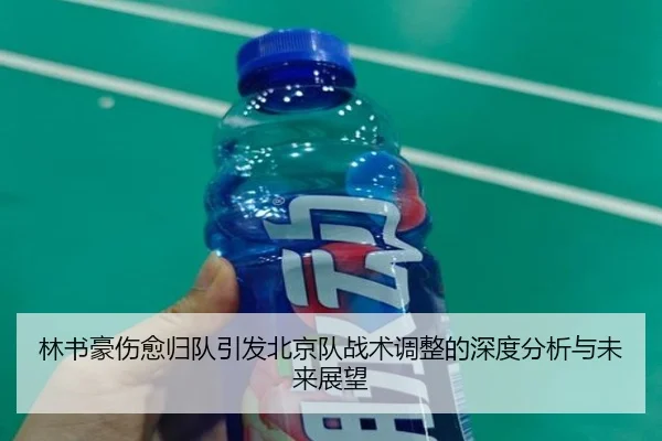 林书豪伤愈归队引发北京队战术调整的深度分析与未来展望